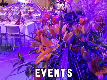 events 2019